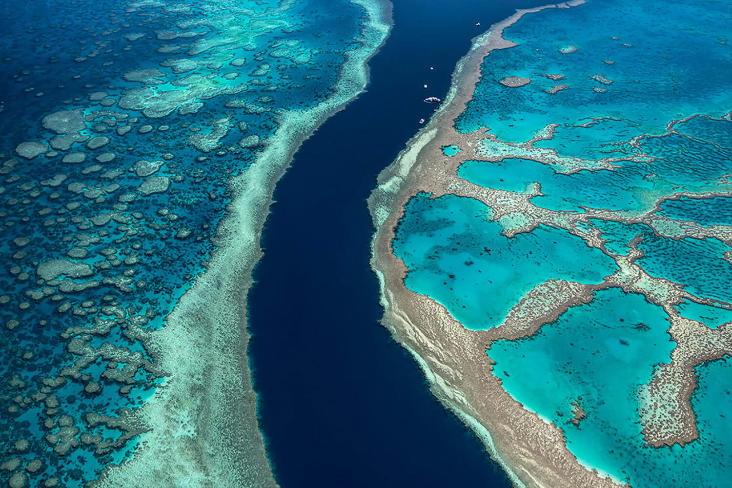 Коралловый риф - большой Барьерный риф где находится